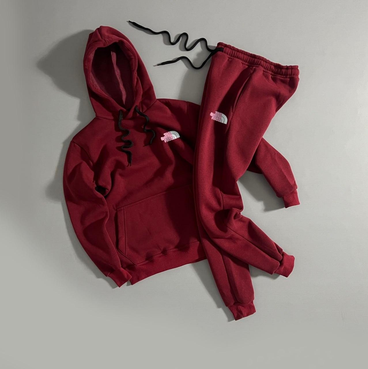 Зимовий спортивний чоловічий костюм The North Face