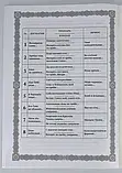 Последування Всенощного бдіння і Божественної літургії, для кліросу та мирян (комплект), фото 3