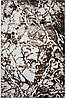 Сучасний   килим MONTANA 08688B ECRU-VISON, фото 3
