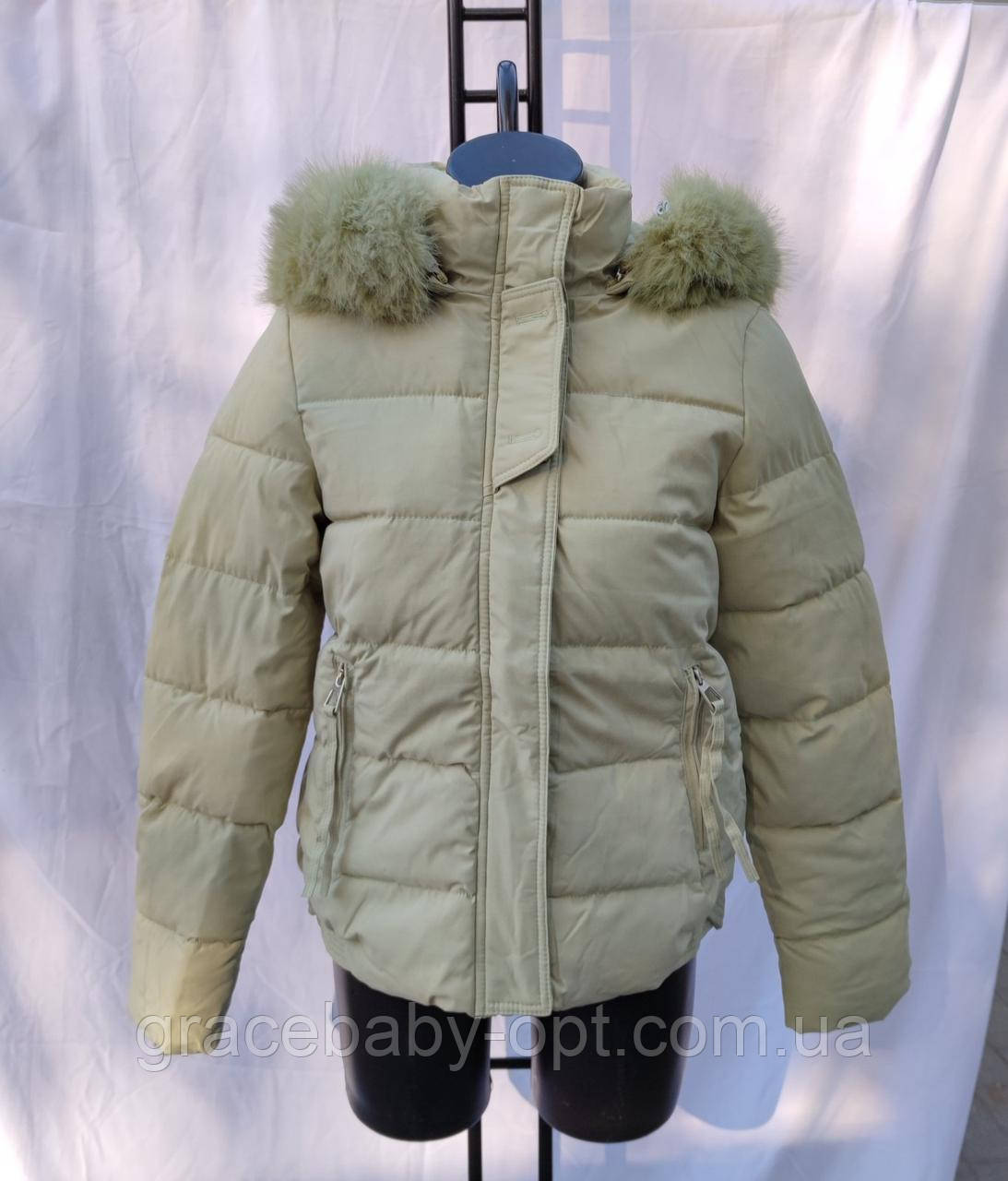 Жіноча утеплена куртка оптом, S-2XL рр., № Si-7861-4