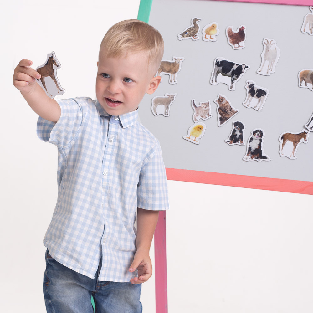 Product image preview