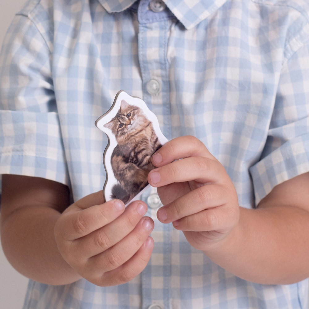 Product image preview