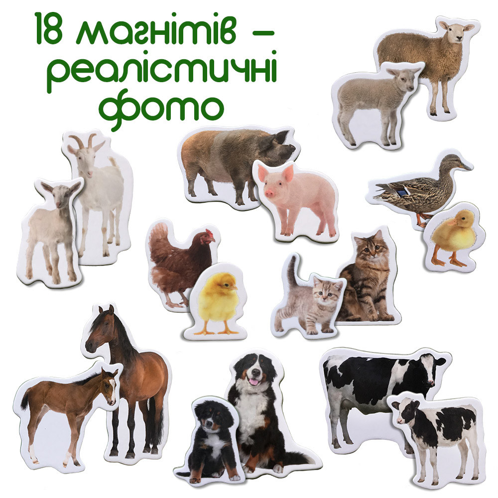 Product image preview