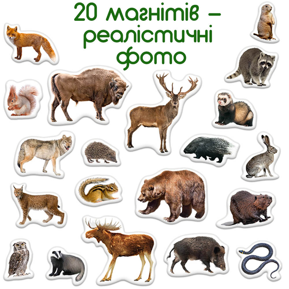 Product image preview