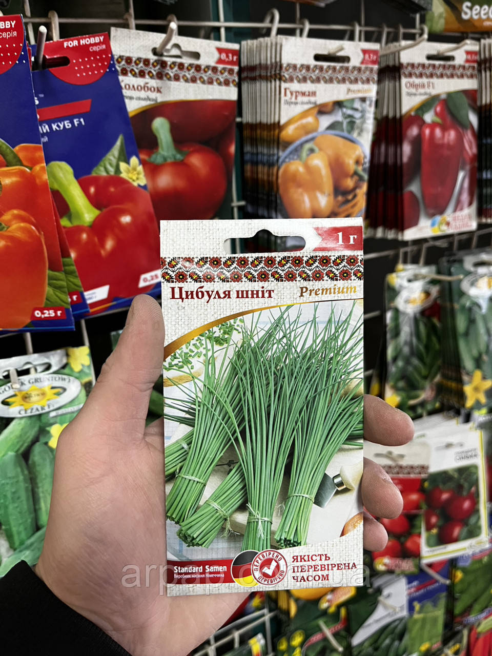 Цибуля Шнітт на зелень 1 г, фото 1