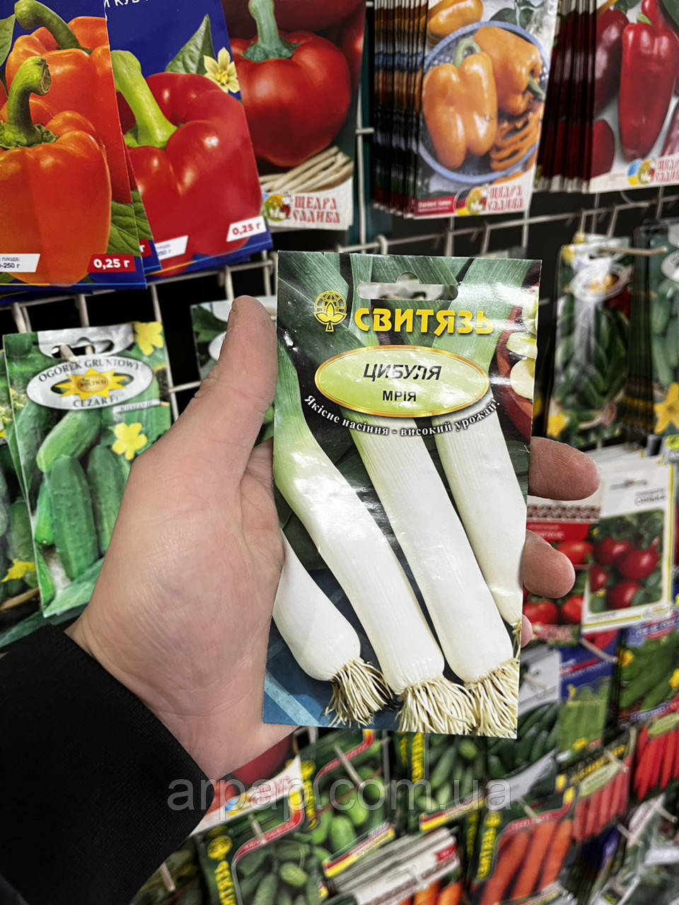 Насіння цибуля-порей Мрія 1г, фото 1