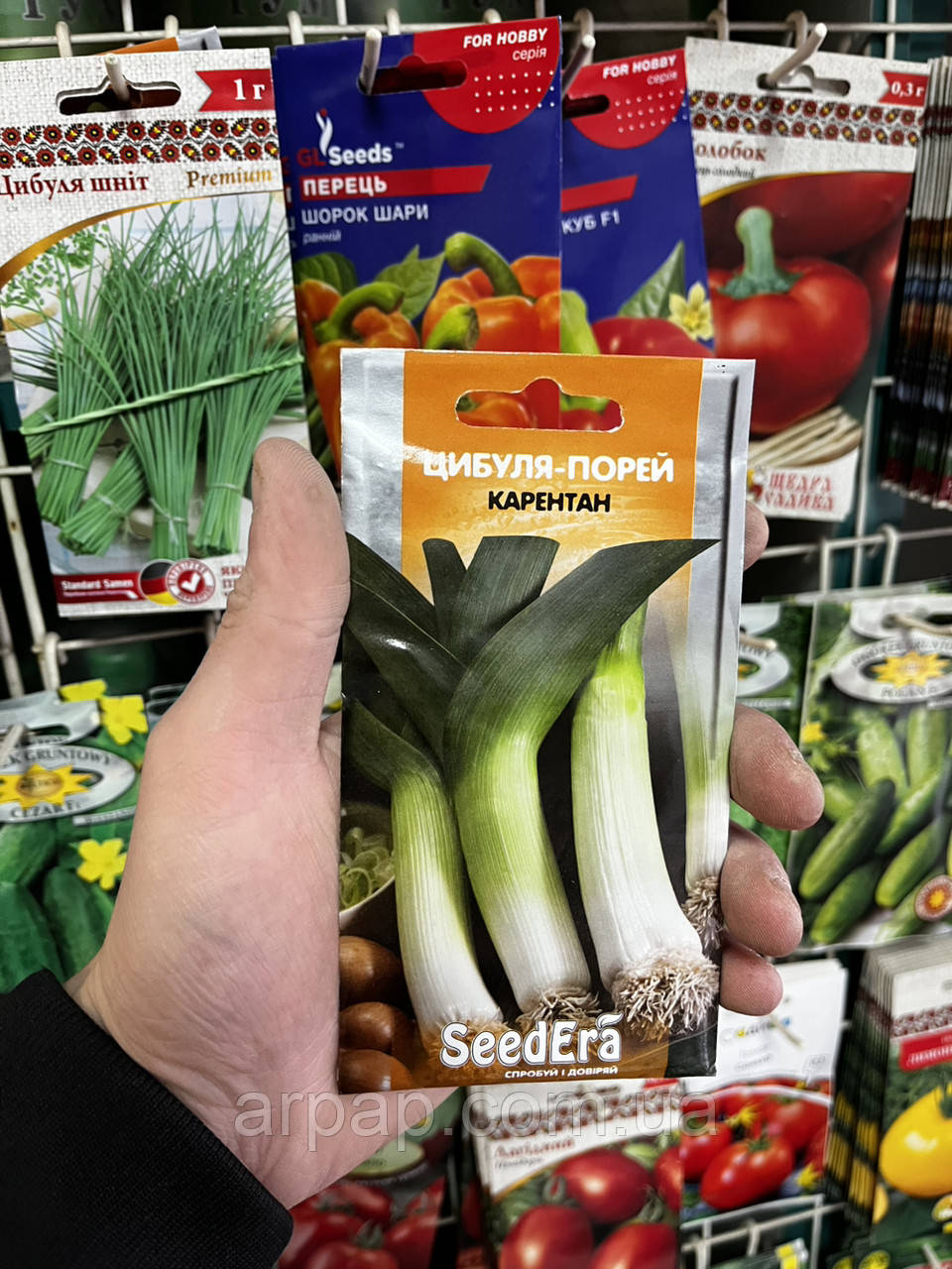 Цибуля-порей "Карентан" ТМ "SeedEra" 1г, фото 1