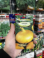 Штутті насіння цибулі ріпчастої жовтої (Світязь).