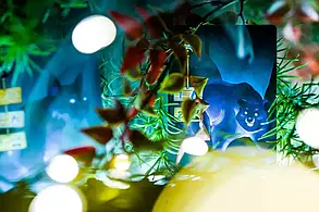 Настольная игра Живий Ліс (Living Forest), фото 4