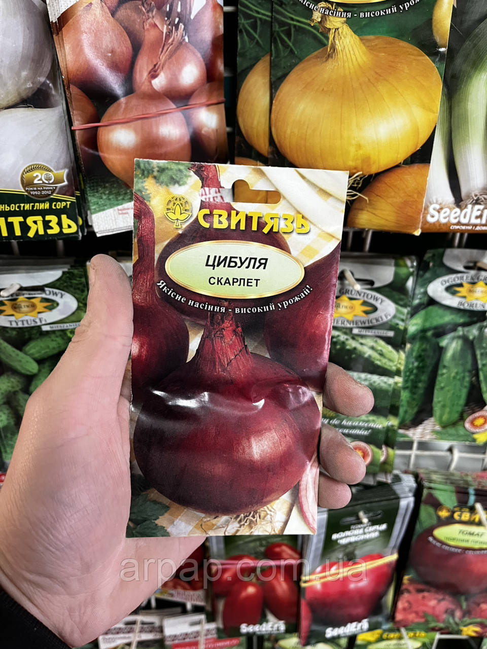 Насіння цибуля ріпчаста червона Скарлет 2 г СВИТЯЗЬ, фото 1