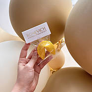 500 шт. Печиво з передбаченнями з логотипом, фото 2