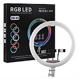 Лампа Кільцева RGB LED | 45 cm 18" | 416 Lights | 72 RGB | Remote | 3 Holders | RD-45, фото 2