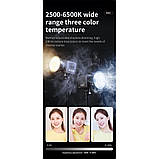 Лампа відеосвітло M60 40W, фото 9