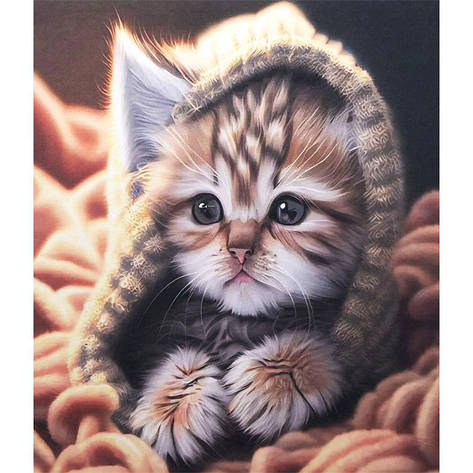 Алмазна мозаїка GLE77590 DIY 40х50см. на підрамнику, у подарунковій упаковці, фото 1