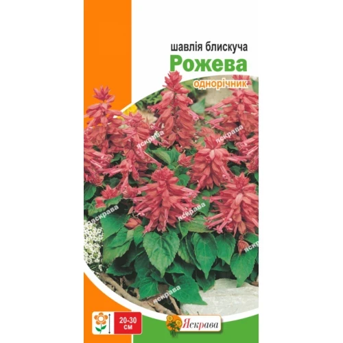 Сальвія блискуча Рожева 0.2 г Яскрава