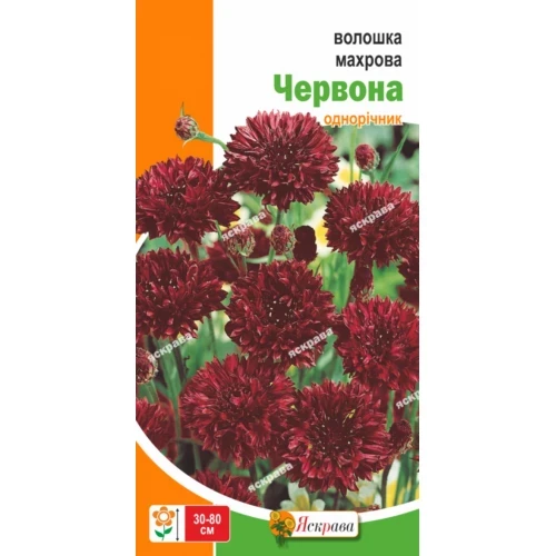 Волошка Махрова Червона 0.5 г Яскрава, фото 1