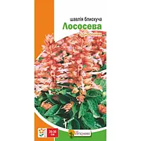 Сальвія низька блискуча Лососева 0.1 г Яскрава