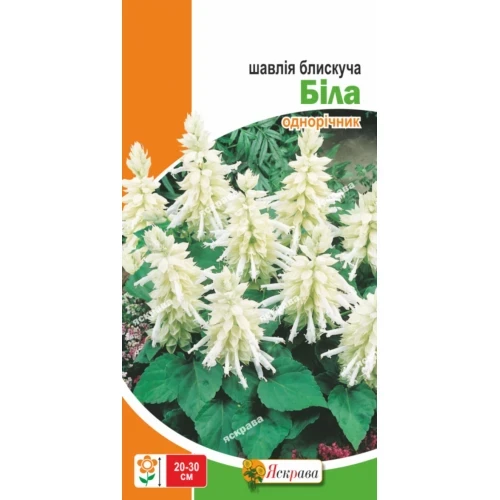 Сальвія блискуча Біла 0.15 г Яскрава, фото 1
