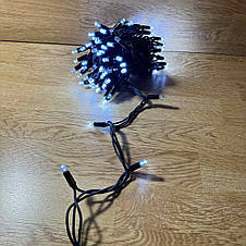 Гірлянда Професійна вулична нитка 100 led, фото 3