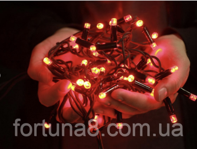Гірлянда Професійна вулична нитка 100 led