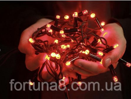 Гірлянда Професійна вулична нитка 100 led, фото 1