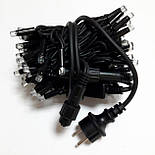 Гірлянда Професійна вулична нитка 100 led, фото 5