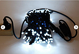 Гірлянда Професійна вулична нитка 100 led, фото 6