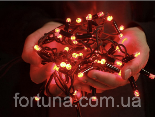Гірлянда Професійна вулична нитка 100 led