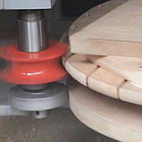 Фрезерно-копіювальний верстат DKF.F DINCMAK, фото 3