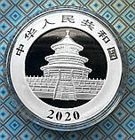 Срібна монета Китаю 10 юань 2020 р. "Панда", фото 5
