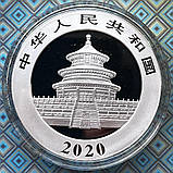 Срібна монета Китаю 10 юань 2020 р. "Панда", фото 6