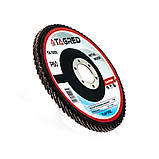 Шліфувальний диск 125 мм ламельний, шліфовка P60, діаметр 22,2 мм, ламельний шліфкруг P60 Tagred TA1005, фото 3