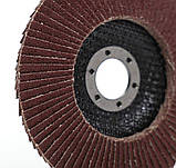 Шліфувальний диск 125 мм ламельний, шліфовка P60, діаметр 22,2 мм, ламельний шліфкруг P60 Tagred TA1005, фото 7