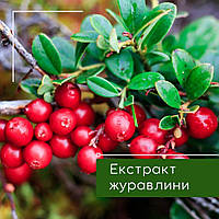 Екстракт журавлини, 50 мл