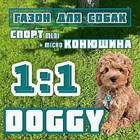 Газон для Собак Доггі насіння газонних трав для саду дачі сада стадіону