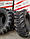 Шина 10-16.5 8PR BKT SKID POWER 116A8 IMP TL, фото 3