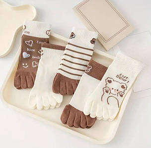 Набір жіночі шкарпетки з пальцями (35-38) 5 пар Bear