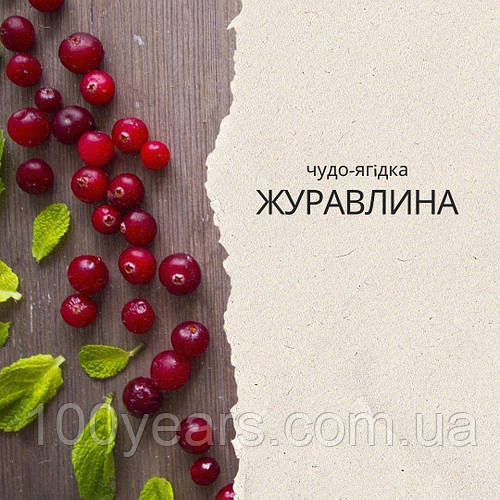 Чудо-ягідка ЖУРАВЛИНА