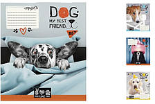 А5/24 кл. YES Dog my best friend, зошит учнів. 20 шт. уп. //