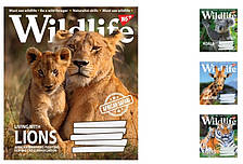 А5/96 лін. YES Wild life, зошит дя записів 5 шт. у. уп. //