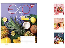 А5/24 кл. YES Exotic, зошит учнів. 20 шт. уп. //