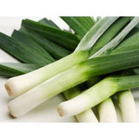 Насіння цибулі - порей Форрест/Forrest NEW!(10 000 сем.), Bejo, Нідерланди