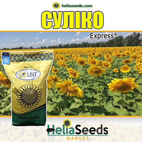 Соняшник СУЛІКО 777 гібрид стійкий до Гранстар / посівний соняшник