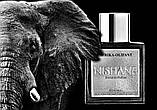 Nishane Afrika-Olifant Extrait de Parfum Духи унисекс, 2 ml Пробник, фото 4
