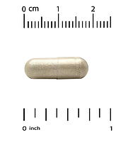 Прополіс 2X концентрований екстракт California Gold Nutrition 500 мг 90 рослинних капсул, фото 4