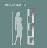 Стелаж MebelProff К-40, стелаж для книг, стелаж для будинку, стелаж для декора, полиці для іграшок, книг, фото 9
