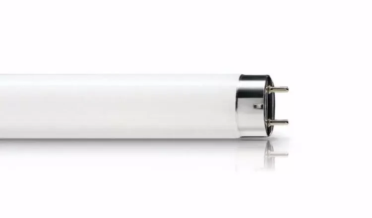 Лампа для акваріумів Osram Daylight 58W / 1500 мм
