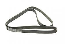 Ремінь генератора Ford Transit 2.0 Renault Espace 3.0dCi 94- 6PK1920  1 987 946 015, фото 2