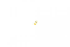 Щітки генератора Iveco Daily 4.9x8x19.40  вугільні  1 986 AE0 193, фото 2