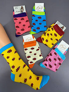 Жіночі шкарпетки Kosmi  5пар/уп